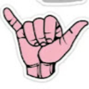 Meet your Posher, Annie